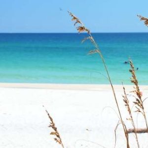 Meet your Posher, Suzanne